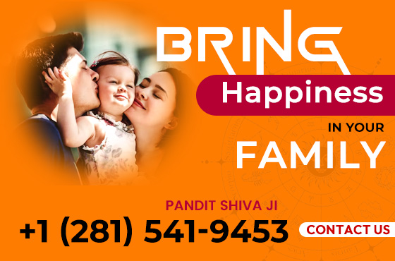 Bring Happiness In Your Family